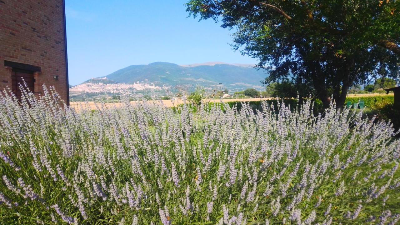 Assisium Agriturismo Exterior photo